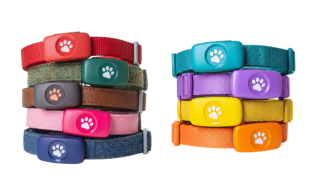 PitPat Dog GPS Tracker